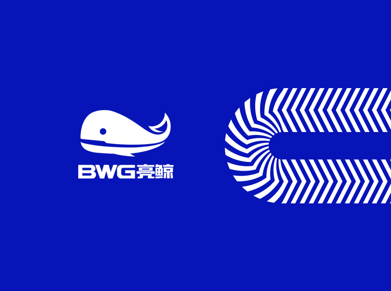 BWG亮鯨品牌形象設(shè)計(jì)